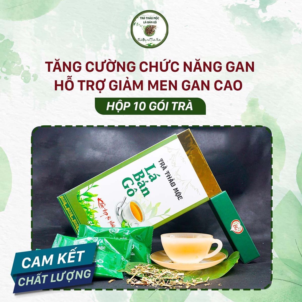 Trà thảo mộc Lá Bản Gô Trà thảo mộc Lá Bản Gô