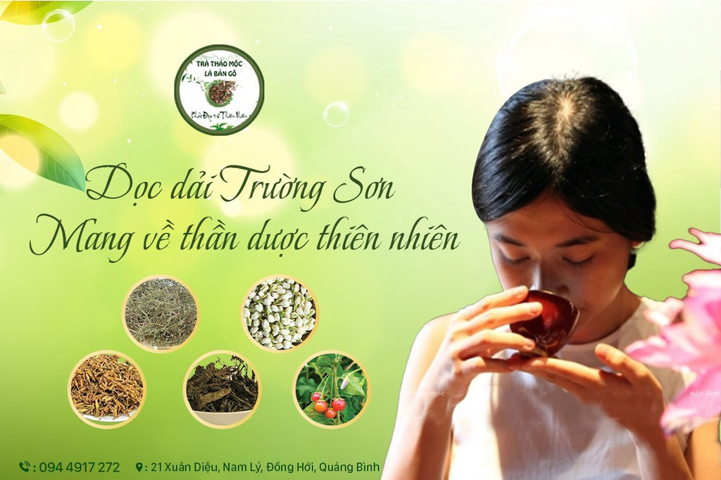 Trà thảo mộc Lá Bản Gô Trà thảo mộc Lá Bản Gô
