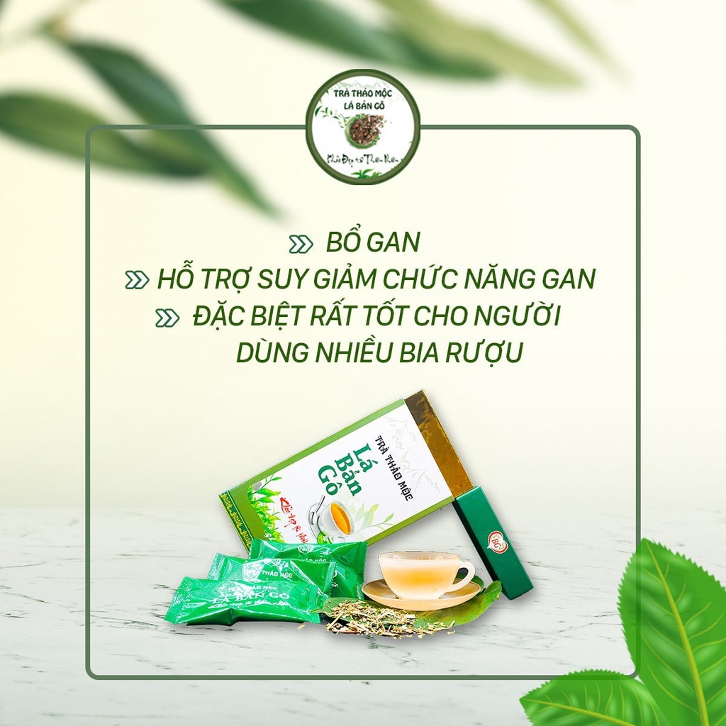 Trà thảo mộc Lá Bản Gô Trà thảo mộc Lá Bản Gô