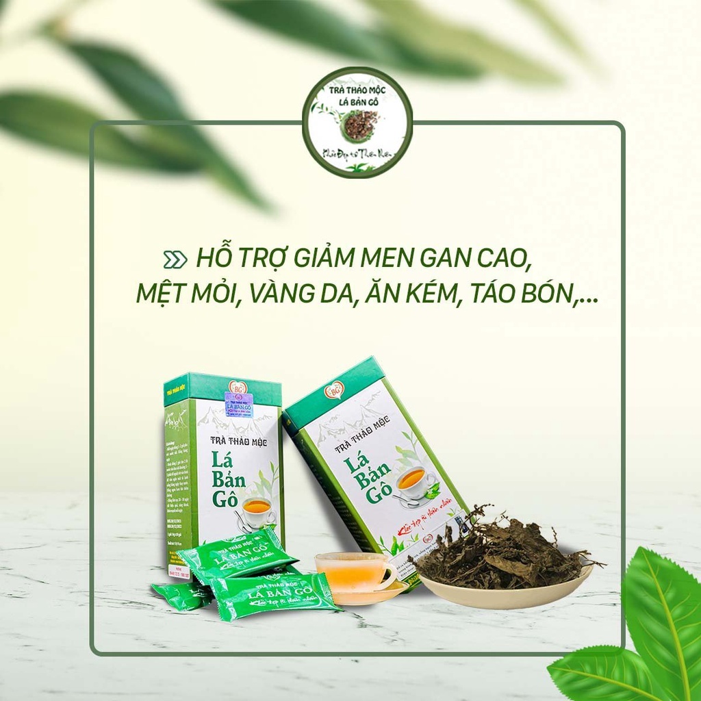 Trà thảo mộc Lá Bản Gô Trà thảo mộc Lá Bản Gô