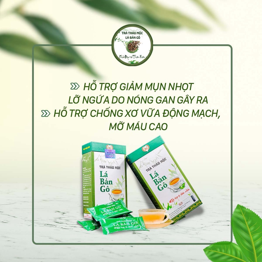 Trà thảo mộc Lá Bản Gô Trà thảo mộc Lá Bản Gô