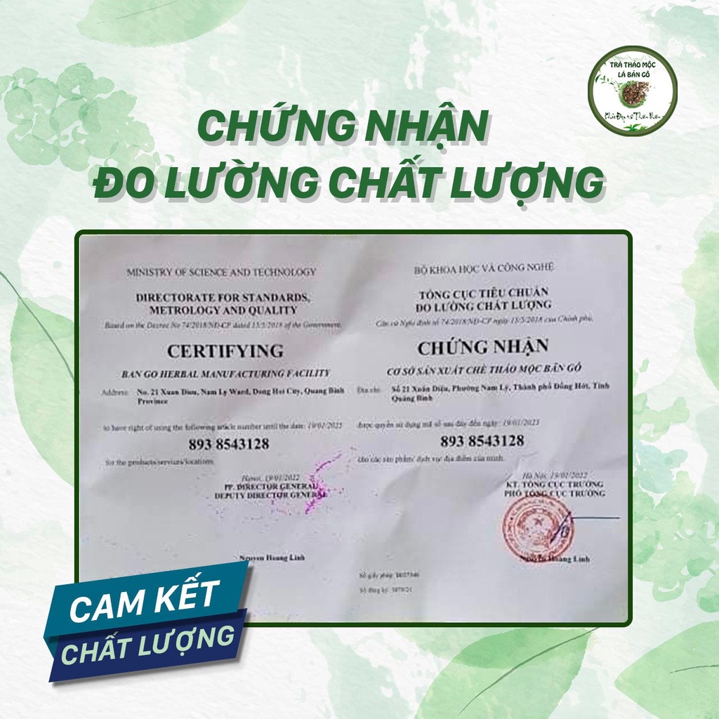 Trà thảo mộc Lá Bản Gô Trà thảo mộc Lá Bản Gô