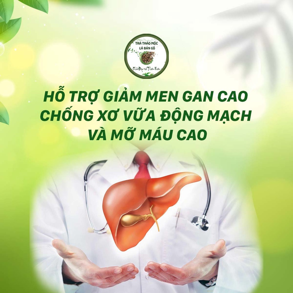 Trà thảo mộc Lá Bản Gô Trà thảo mộc Lá Bản Gô
