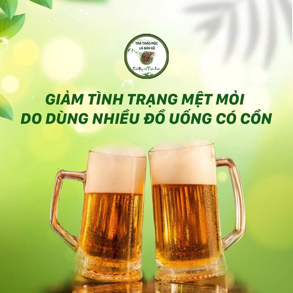 Trà thảo mộc Lá Bản Gô Trà thảo mộc Lá Bản Gô